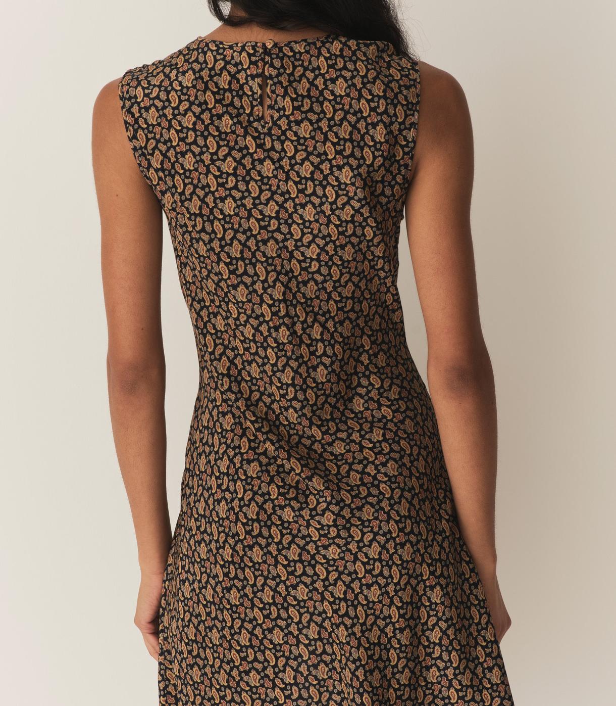 DÔEN Dresses | Alamere Dress Villette Paisley - Women
